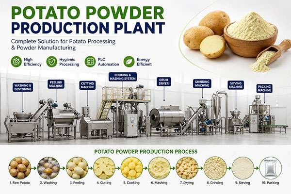 potato powder production plant with potato powder making machine